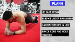 plank elbows under shoulders back neck hips in line