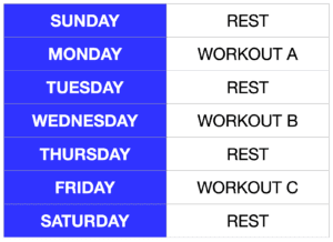 full body workout split schedule
